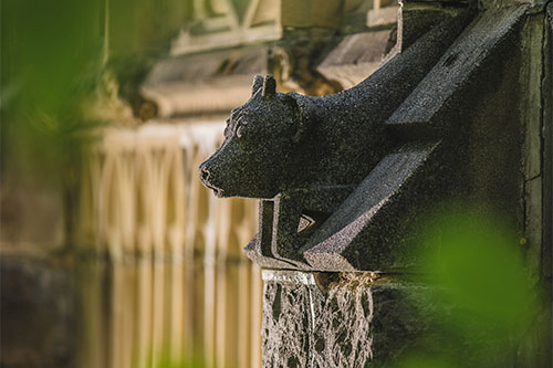 Image of the Ag Quad cowgoyle architectural feature