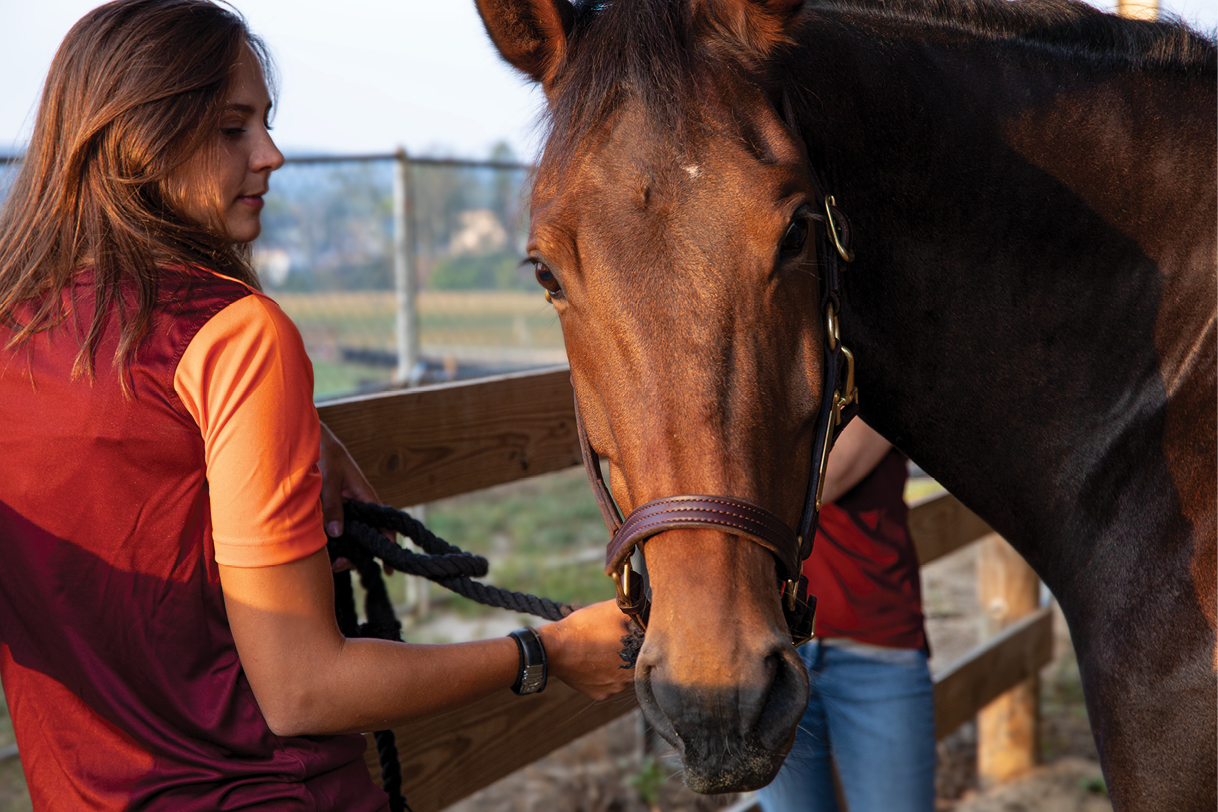 Robin White with a horse