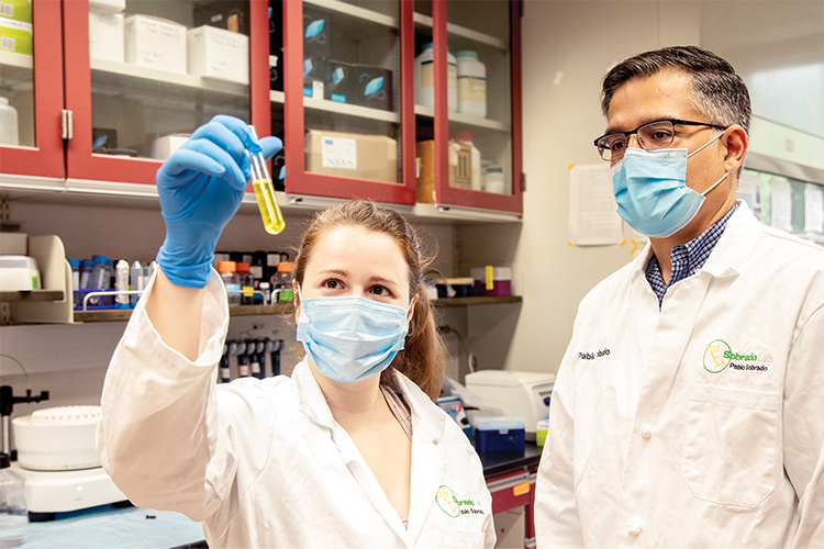 Image of two scientists looking at a test tube