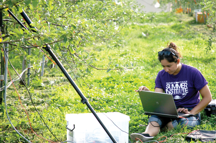 Image of Brianna Posadas working on a computer in an orchard