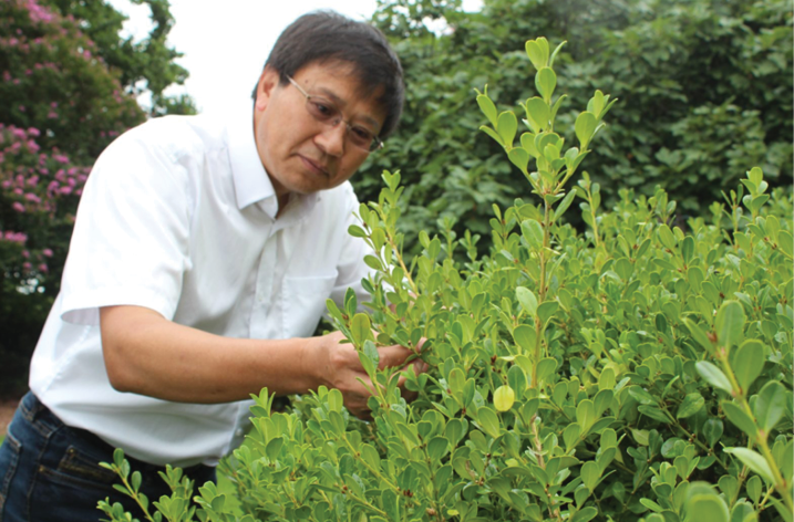 Image of Chunaxue Hong examining a plant