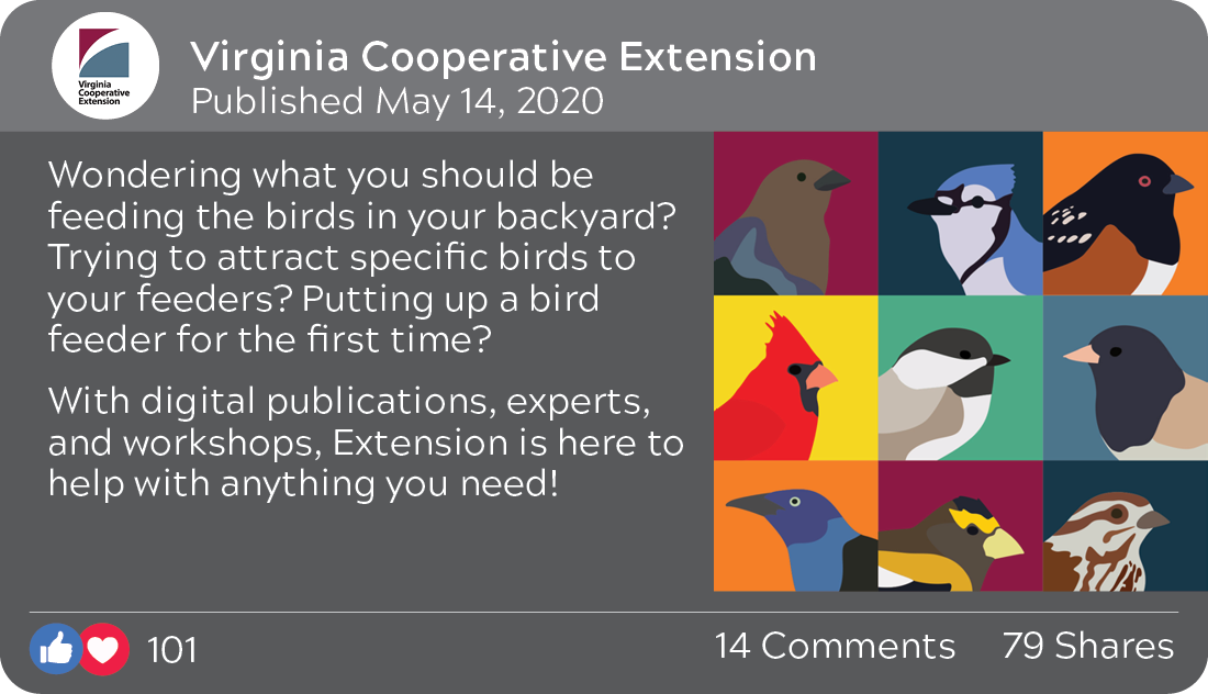 Virginia Cooperative Extension, published May 14, 2020: Wondering what you should be feeding the birds in your backyard? Trying to attract sepcific birds to your feeders? Putting up a bird feeder for the first time? With digital publications, experts, and workshops, Extension is here to help with anything you need! 101 reactions, 14 comments, 79 shares. Illustration of six different Virginia birds.