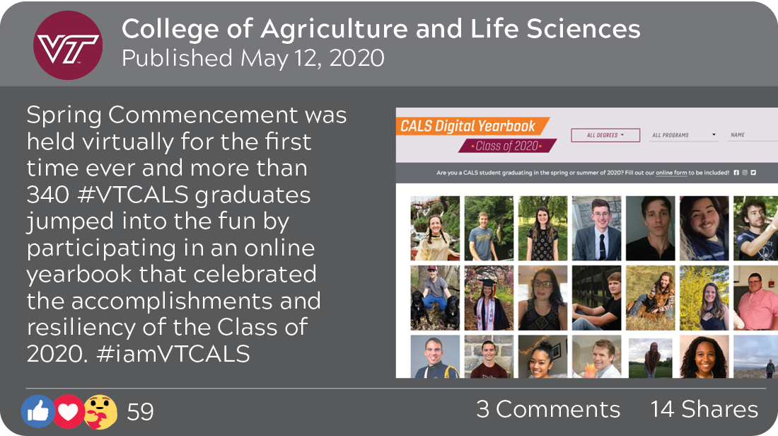 College of Agriculture and Life Sciences, published May 12, 2020: Spring Commencement was held virtually for the first tiem ever and more than 340 #VTCALS graduates jumped into the fun by participating in an online yearbook that celebrated the accomplishments and resiliency of the Class of 2020. #iamVTCALS. 59 reactions, 3 comments, 14 shares. Screenshot of the digital yearbook webpage.